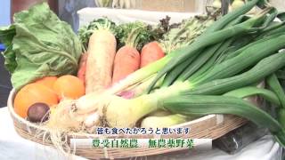 「医食農健 －自然な種、自然な農業が人々の健康を守る－」第5回日本の農業と食シンポジウムダイジェスト [upl. by Nabal61]