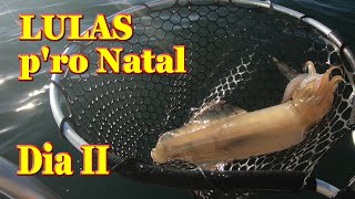 Dia 2 de pesca á Lula Ceia do Natal de lulas recheadas Pescaria ás Lulas em Lagos no Algarve [upl. by Natividad]