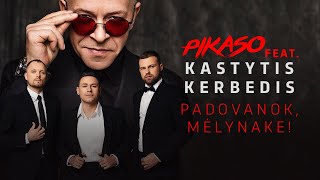 PIKASO feat Kastytis Kerbedis  Padovanok mėlynake [upl. by Wiencke]