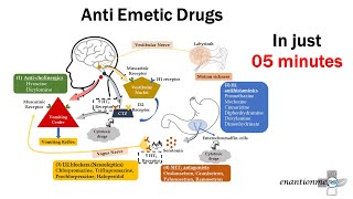 Pharmacology of Emesis Anti emetic Drugs Part  2 [upl. by Ewell]