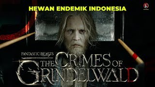 Fantastic Beasts Bukan Binatang Biasa  TUKANG SPOILER [upl. by Kcirredal]