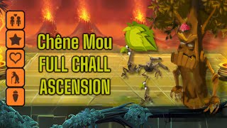 Dofus Touch Chêne Mou FULL CHAL  ASCENSION [upl. by Adlesirg495]