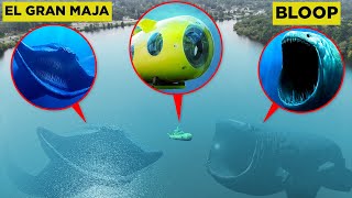 SUBMARINE CATCHES EL GRAN MAJA amp THE BLOOP IN REAL LIFE FULL MOVIE [upl. by Knobloch]