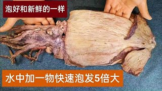 泡發乾魷魚，只用清水就錯了，20年大廚教我一招，快速泡發5倍大 【百變小廚坊】泡發乾魷魚 乾魷魚 泡魷魚 [upl. by Afnin]