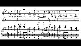 Verranno a te sullaure Lucia di Lammermoor  G Donizetti Score Animation [upl. by Frieder]