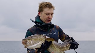 The Last Cod in Langeland [upl. by Ydderf]