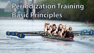 Periodization Training  Basic Principles [upl. by Trilby]