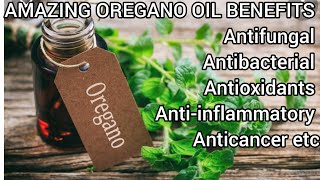 DIY Oregano Oil amp Benefits Homemade Oregano Oil HowTo Make Oregano Oil [upl. by Eneirda454]