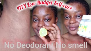 DIY How to Get rid of dark underarmsclean shave no bump and smell nice without deodorant [upl. by Anyrak]