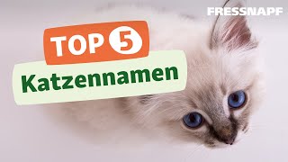 Top 5 Katzennamen [upl. by Odnaloy610]