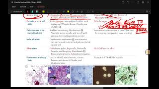 microbiology 3 usmle step 1 revision [upl. by Darcie738]