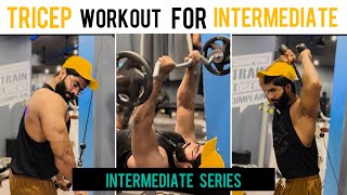 Tricep Workout For Intermediate series  Aamir fitness club [upl. by Falk]