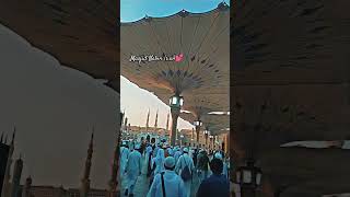 Madinatrending viral shorts explore reels like share video yt youtubeshorts india muslim [upl. by Deyes676]