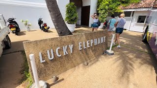 LUCKY ELEPHANT HOTEL 4 HIKKADUWA SRI LANKA 4K VIRTUAL TOUR [upl. by Adnih524]