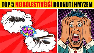 TOP 5 nejbolestivější BODNUTÍ HMYZEM [upl. by Alol]