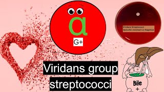 Viridans group streptococci Everything you need to know [upl. by Horwath]