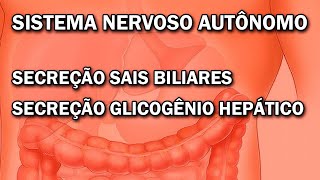 Ação do Sistema Nervoso Autônomo na secreção de Sais Biliares e Glicose [upl. by Iturhs]