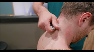 Nuchal Ligament Clinical Signs Palpation amp Treatment Demonstration [upl. by Ardnekahs]