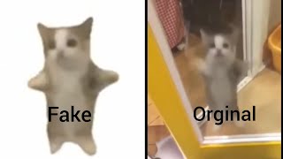 Happy Cat Meme Fake vs Original [upl. by Thalia]