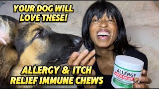 Dog Allergy And Itch Relief Immune Chews Your Dog Will Love [upl. by Gere826]