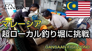 ガイド無し遠征ゆえの失敗…超ローカル釣り堀  GANSAAN FISH POND [upl. by Kotta420]