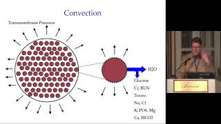 Brigham Renal Board Review Intensive care nephrology [upl. by Nwadrebma]