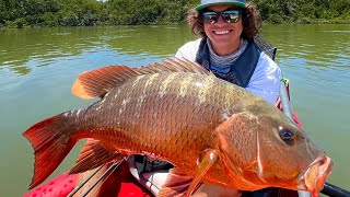 Pargo GIGANTE en el Manglar  Pesca en Kayak [upl. by Valentine28]