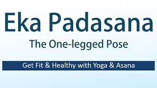 Health Benefits of Eka Padasana  Yoga Health for Beginners  The Onelegged Pose Yoga Asana [upl. by Jolda439]