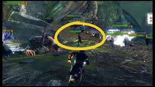 GW2  You CHEATED at HIDE AND SEEK [upl. by Denice451]