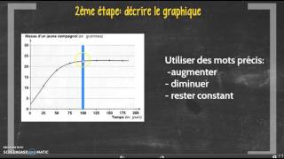 Tutoriel cycle 4 analyser un graphique [upl. by Sheri69]