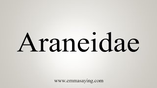 How To Say Araneidae [upl. by Yelik]