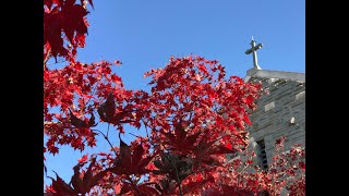 St Johns Episcopal Church Roanoke Va Nov 17 2024 10 am Holy Eucharist Rite II [upl. by Sirrom]