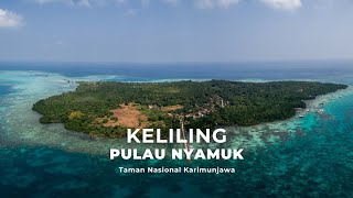 TelusuRI Pulau Nyamuk Taman Nasional Karimunjawa [upl. by Anidnamra656]