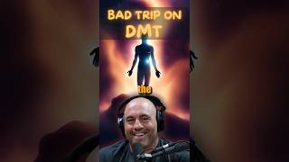 The Power of Psychedelics Joe Rogan and Dorian Yates on DMT Insights shorts joeroganpodcast [upl. by Teraj]