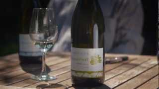 Basilicus Winery quotEgyszervoltquot  Film Production [upl. by Aoht]