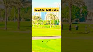 Dubai Golf Enjoyment shortsfeed ytstudioes ytshorts dubailife viralvideo [upl. by Terena]