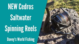 NEW Okuma Cedros Spinning Reels  First Look  Awesome Saltwater Reel [upl. by Jose]