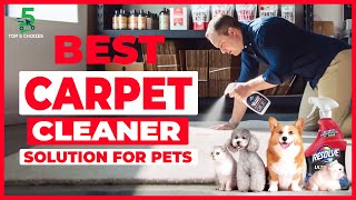 Top 5 Best Carpet Cleaner Solution For Pets in 2022 [upl. by Yetah]