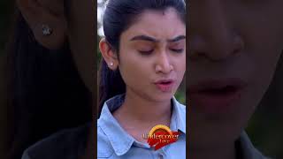 Zee World Shorts Undercover Love  July  Deepthi Manne Darsh Chandrappa [upl. by Andreana]