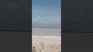 Las Coloradas Yucatan [upl. by Esenej]