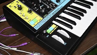 Moog Matriarch SemiModular Analog Synthesizer  Overview amp Demo [upl. by Nekial]