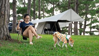 Solo Camping in Rain New Tarp Relaxing in tarp shelter with my Dog ASMR [upl. by Munt]