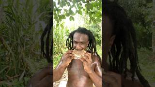 JAMAICAN STREET FOOD  Jamaican Snacks You Must Try shorts jamaica streetfood food [upl. by Mcquade]