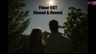 Fitoor Ost Slowed And Reverd OstLyrics [upl. by Ecerehs]