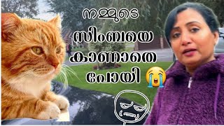 ചങ്ക് തകർന്നു പോയ ദിവസം 😭 നമ്മുടെ സിമ്പക്കുട്ടനെ കാണാതെ പോയി 😭 [upl. by Rissa366]