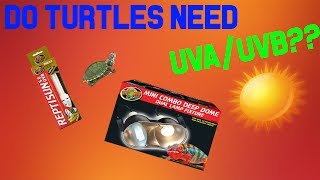 Do turtles really need UVAUVB BASKING [upl. by Vincenty120]