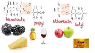 Esters 5 Found in fruit Structures and systematic names [upl. by Wickham]