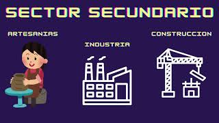 SECTORES ECONOMICOS PARTE 1 [upl. by Renferd]