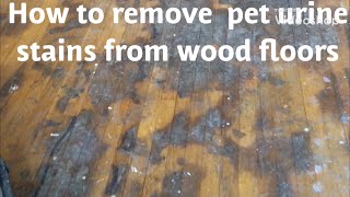 HOW TO REMOVE PET URINEWATER DAMAGE STAINS FROM WOOD FLOORS [upl. by Borlase]