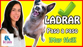 LADRIDO a la orden  ican adiestramiento canino [upl. by Yajeet]